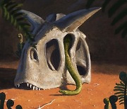공룡 대멸종 초래 소행성 충돌 뱀에게는 '창조적 파괴'