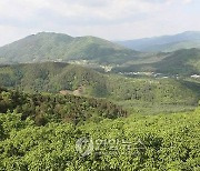'광릉숲 생물권보전지역' 유네스코 첫 평가서 합격점