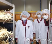 홍삼 제조업체 점검하는 김강립 식약처장
