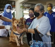 INDONESIA ANIMALS RABIES VACCINATION