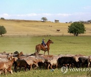 KYRGYZSTAN CHILD LABOR