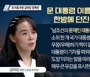 김여정, 文 실명 첫 비난.."우몽하기 짝이 없다"