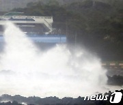 태풍 '찬투'에 제주·김해 항공기 9편 결항..여객선 통제