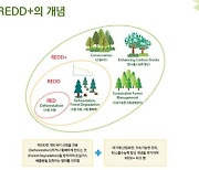 산림청, 캄보디아 등 'REDD+' 사업지 관리감독 강화