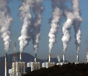 "탄소중립 실현 가능하냐", "신입 못뽑는다"..탄소중립委에 작심비판 한 기업들