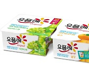 빙그레, 요플레 신제품 '살구·샤인머스캣' 2종 선봬