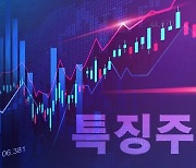 [특징주] '대규모 시설 투자' 해성디에스, 장 초반 강세