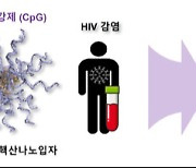 HIV 감염환자 혈액에서 항바이러스 단백질 유도한다