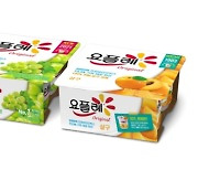 빙그레, 요플레 신제품 '살구·샤인머스캣' 2종 출시
