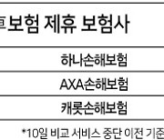 돈은 더 내고 도움은 안되고..카카오페이 입점 보험사 이탈조짐