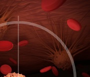 인공단백질로 癌세포만 골라 없앤다..부작용없는 항암제 개발 청신호