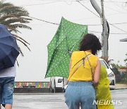 서귀포 초속 22.3m 강풍, 피해 속출