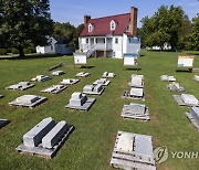 USA GRAVESTONES