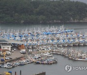 태풍 '찬투' 제주 접근..서귀포항 '긴장'