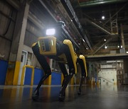 현대차그룹, 보스턴 다이내믹스와 첫 프로젝트 '공장 안전 서비스 로봇'