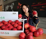 SK머티리얼즈, 임직원 대상 '착한 사과 보내기' 캠페인