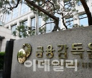 'DLF 패소' 금감원, 항소 결정