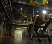 현대차·보스턴 다이내믹스, 첫 프로젝트 로봇 공개