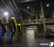 "사각지대도 문제없다"..현대차그룹 '공장안전서비스 로봇' 공개