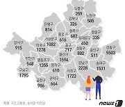 '신고가' 꼼수 못잡는 외국인주택 서울만 2만2800가구.."5년간 50%↑"(종합)