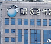 금감원, 우리금융 DLF 징계 취소 판결에 불복 항소(종합)