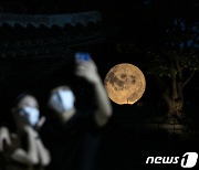 창경궁 '궁궐에 내려온 보름달'