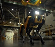 BTS와 춤추던 4족 로봇, 공장 안전 서비스 로봇으로 재탄생
