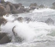 [날씨] 남해안 강한 비바람..태풍 밤사이 일본 상륙