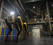 현대차그룹-보스턴다이내믹스 '공장 안전서비스 로봇' 시범운영 개시