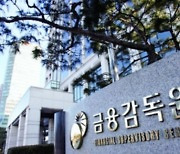 금감원, 우리금융 회장 DLF 징계취소 판결에 항소(종합)