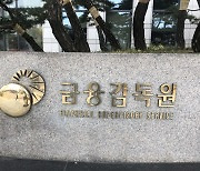 금감원, 우리금융 회장 중징계 취소 판결에 '항소' 결정