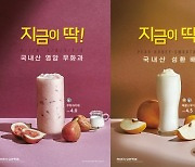 빽다방, 제철 과일 '무화과·배' 활용 음료 2종 출시