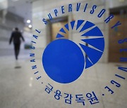 금감원, 'DLF 판결' 항소 결정..'우리은행도 잘못' 판결에 해볼 만 판단