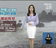 [날씨] 울산 태풍예비특보..예상강우량 최고 120mm↑