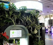 사물인터넷 연결된 식물, 기차역 공기정화 책임진다