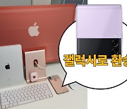 "아이폰 질린다" 애플 신제품 나와도 삼성 폴더블 '환승족' 우수수! [IT선빵!]