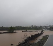 태풍 '찬투' 폭우, 제주 농경지·도로 침수