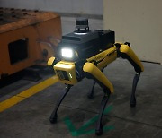 로봇개, 기아 공장 지킨다..보스턴 다이내믹스와 첫 프로젝트