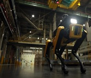 [영상]"장애물, 사각지대도 문제 없어"..사람 대신 공장 순찰하는 '로봇개'