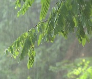 [오늘의 날씨] 태풍 '찬투' 영향 전국 대부분 비소식