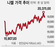 LG엔솔, 中니켈업체 투자..물량 2만톤 확보