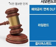 금감원, '손태승 DLF 사태' 1심 패소에 항소 결정