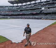 USA BASEBALL MLB