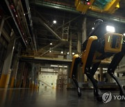 현대자동차그룹, '공장 안전 서비스 로봇' 공개