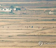 북한, 벌써부터 "농작물 우박피해 막아라"..대책마련 부심