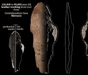 선사 인류 가죽옷 만든 12만년 전 뼈 도구 모로코 동굴서 발굴