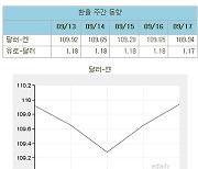 (표)환율 주간 동향