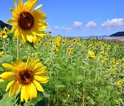 [Eye Plus] A warm breeze heralds the start of autumn