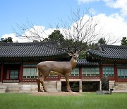 무릉도원 변신한 덕수궁, 온기 품은 탄약공장