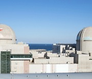 "脫탄소 필수"..IAEA, 원자력 발전량 전망 10년 만에 높였다